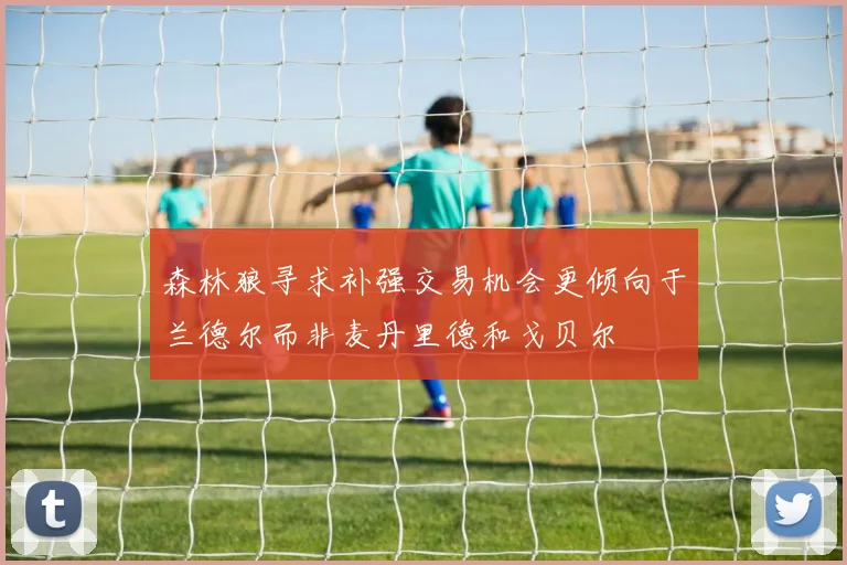 森林狼寻求补强交易机会更倾向于兰德尔而非麦丹里德和戈贝尔