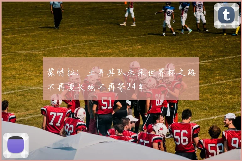 蒙特拉：土耳其队未来世界杯之路不再漫长绝不再等24年